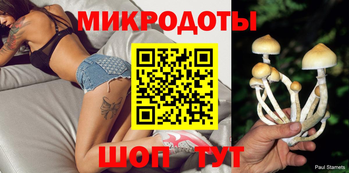 Псилоцибиновые грибы MAGIC MUSHROOMS  Вход с VPN  Касимов 